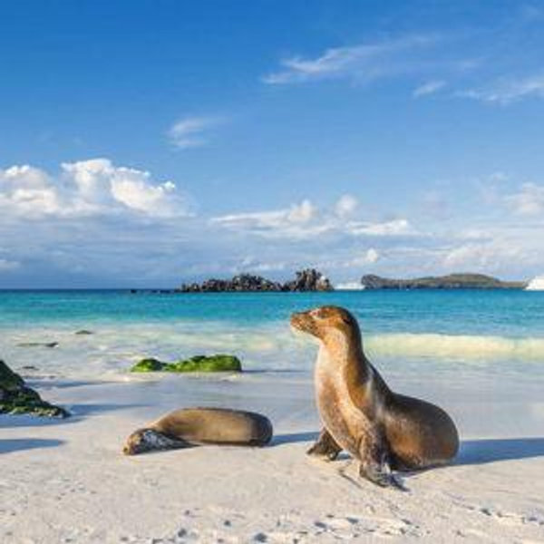 Honeymoon Fund - Galápagos Islands
