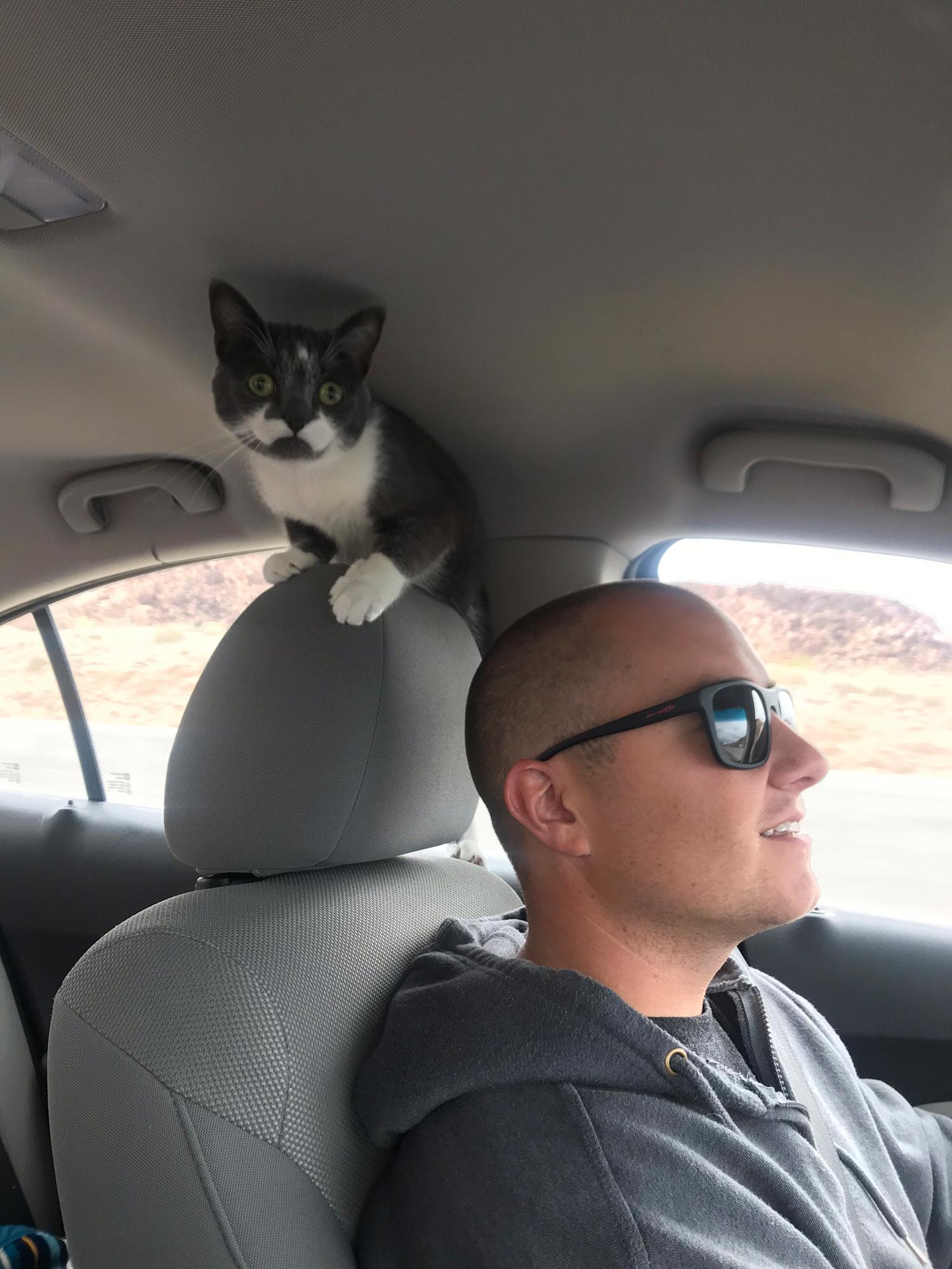 Road trip with Emmy!