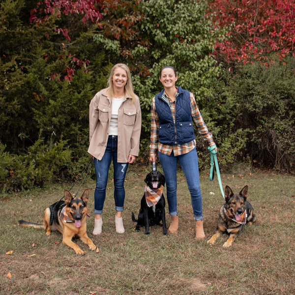 Dogs 🐾