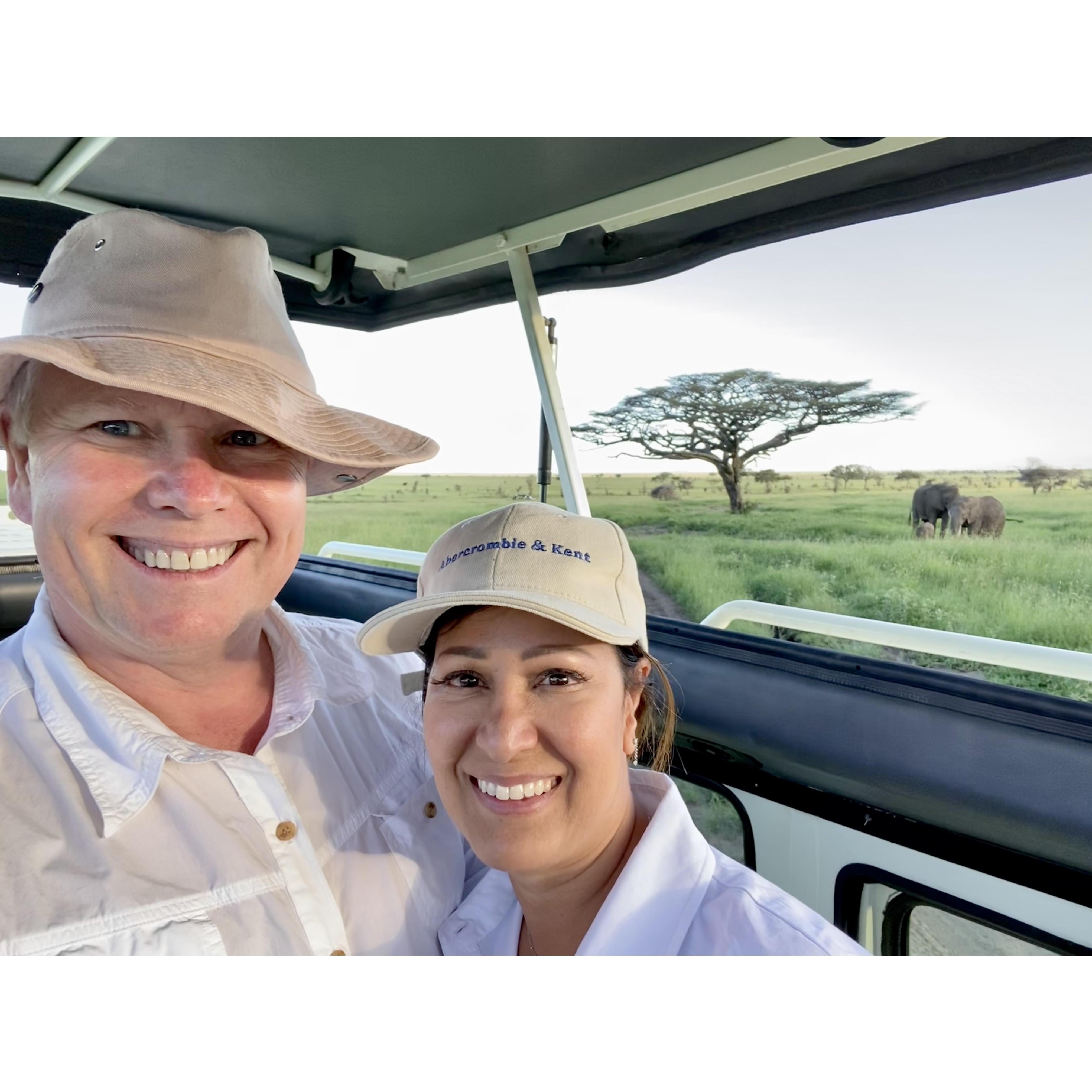 Elephants on the Serengeti