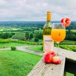 Bluemont Vineyard