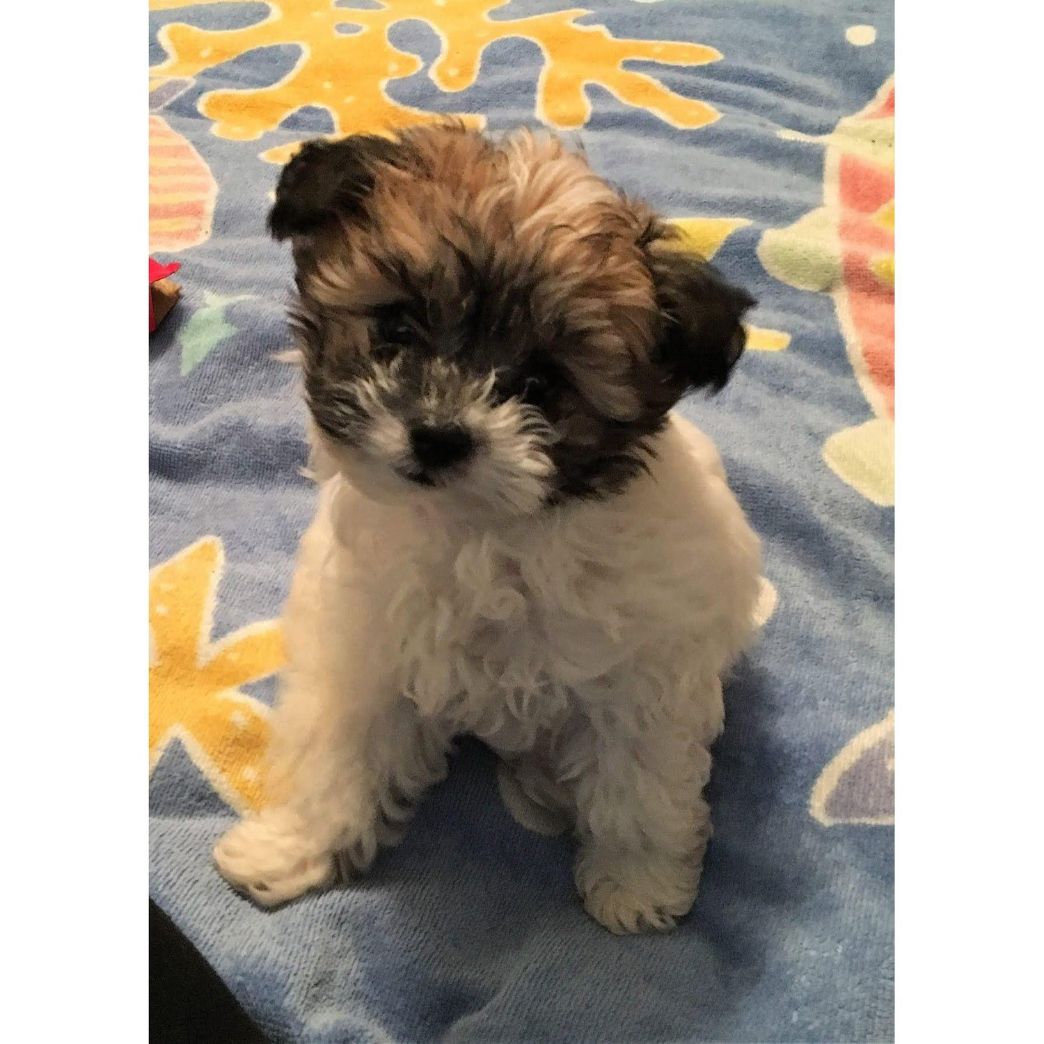 New addition 1/2016