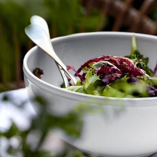 Friso Salad Serving Bowl