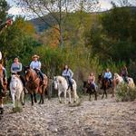 Santa Ynez Valley Horseback Rides