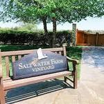 Saltwater Farm Vineyard