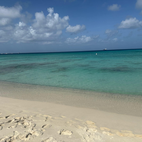 Suttles Sand and Sun