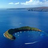Molokini And Turtle Town Snorkeling