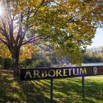 Madison Arboretum
