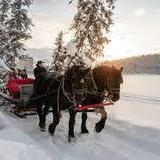 Horse-Drawn Sleigh Rides