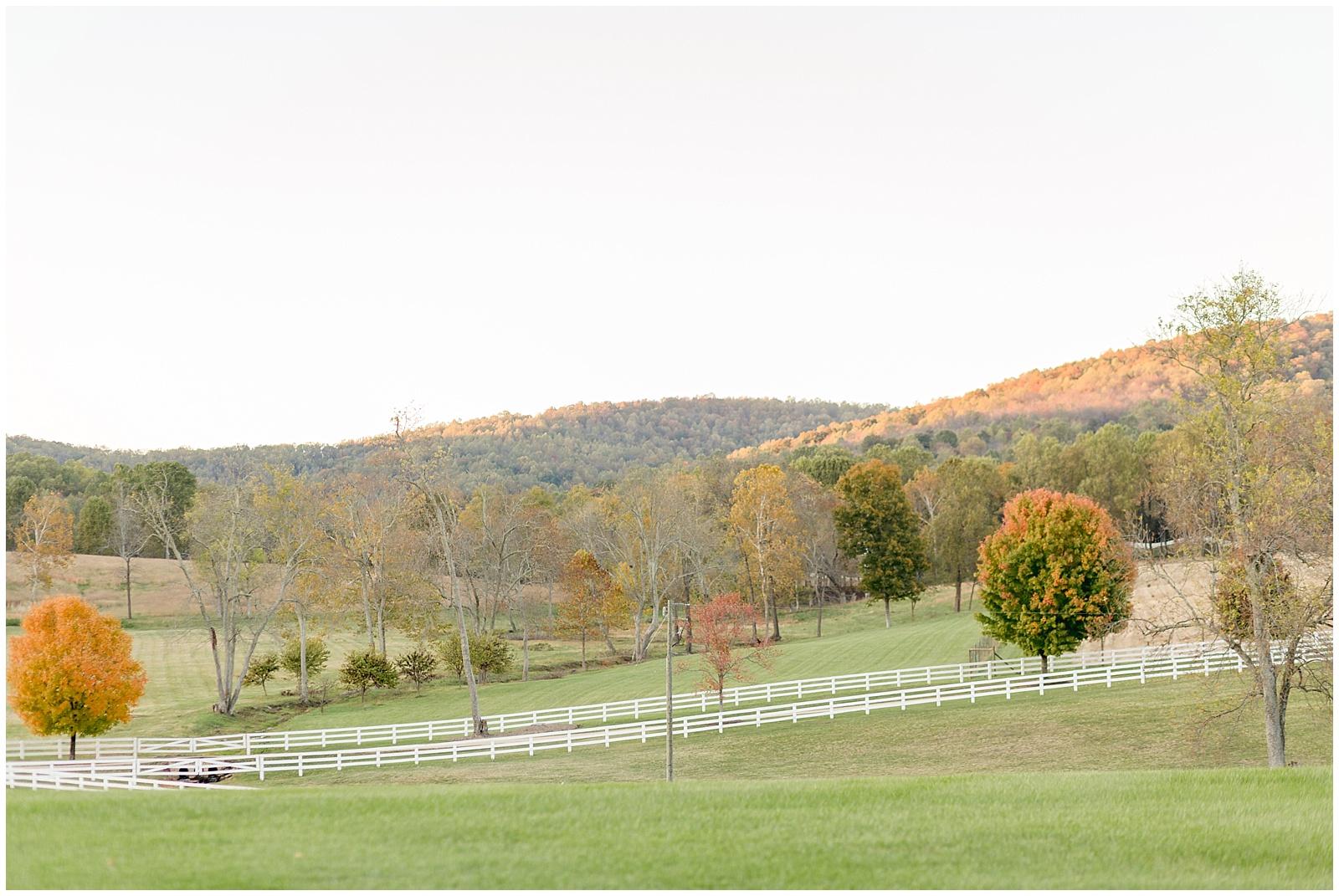 The Wedding Website of Magen Dargon and Steven Rauch