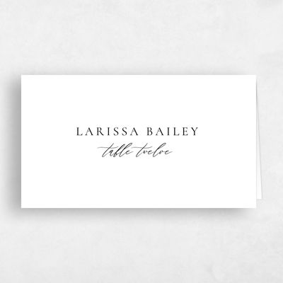 White Modern Wedding Place Card - Seville