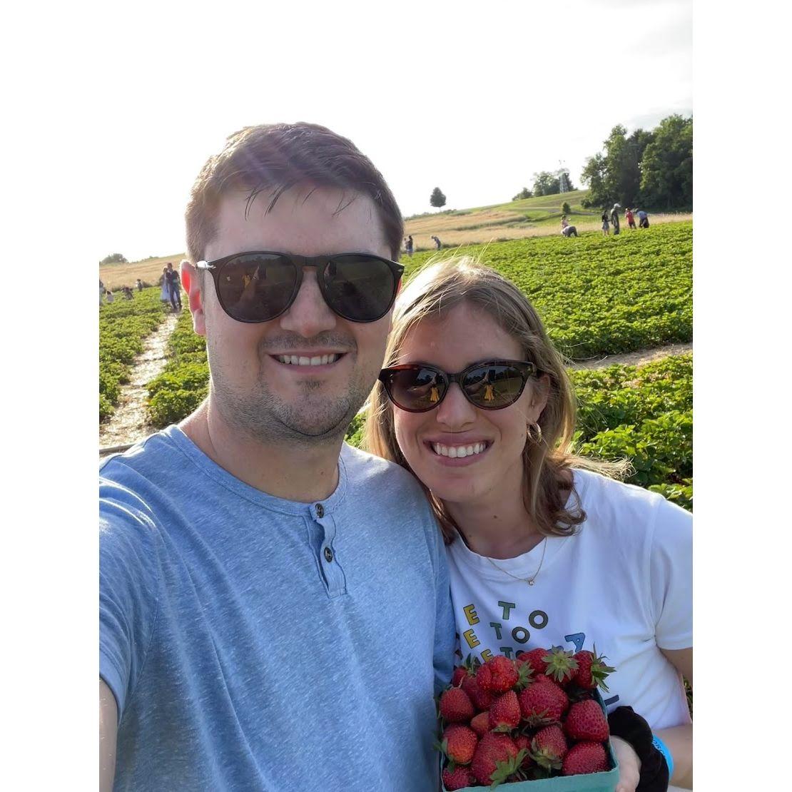 Our first strawberry picking