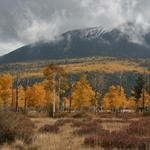 Pajarito Mountain Ski Area