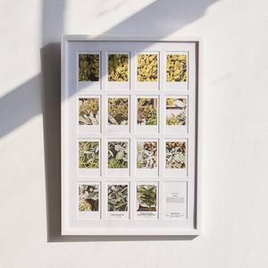 Instax Mini 4x4 Gallery Picture Frame