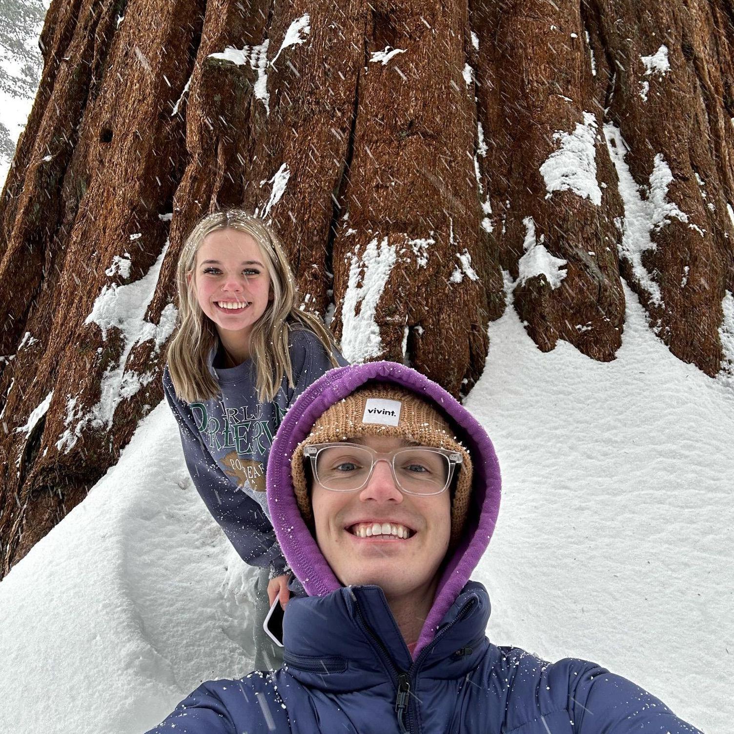 Sequoia national forest!