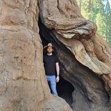 Sequoia National Park