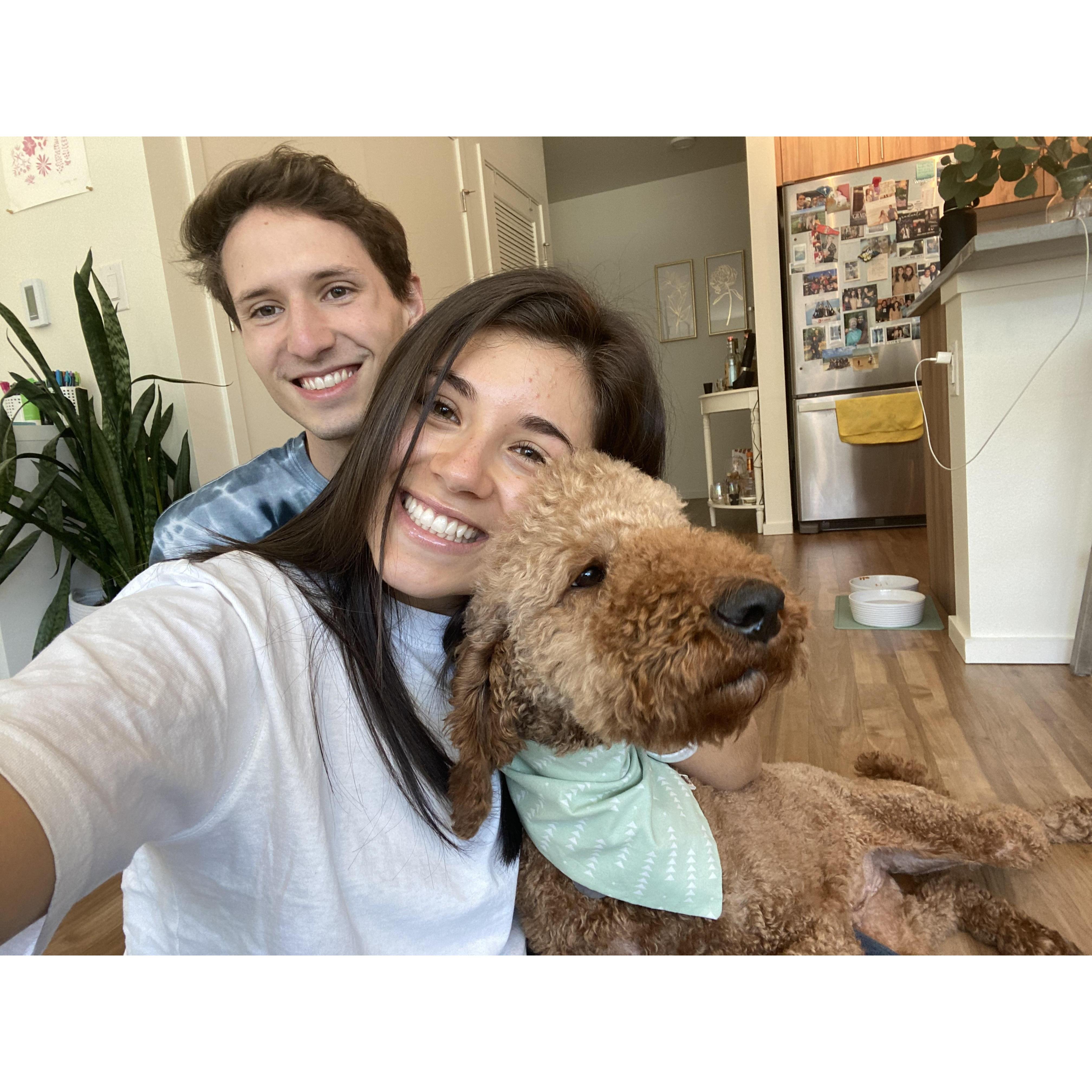 Easter 2020 - 1 week with Ginger