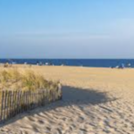 Enjoy the Beaches