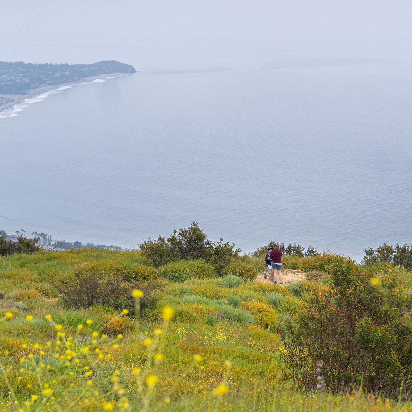 Engagement in Malibu, 4/20/2024