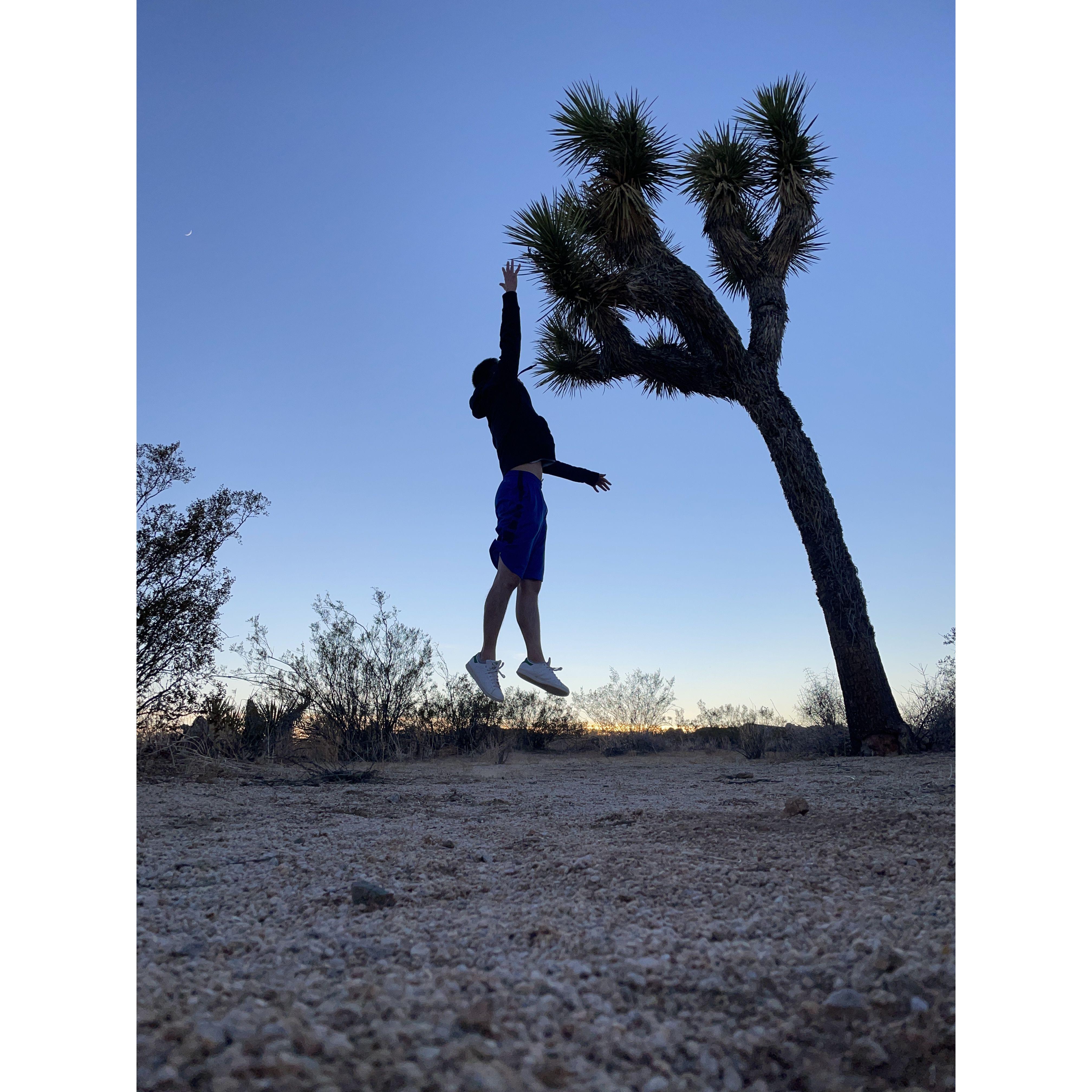 Joshua Tree, 2022 Jan