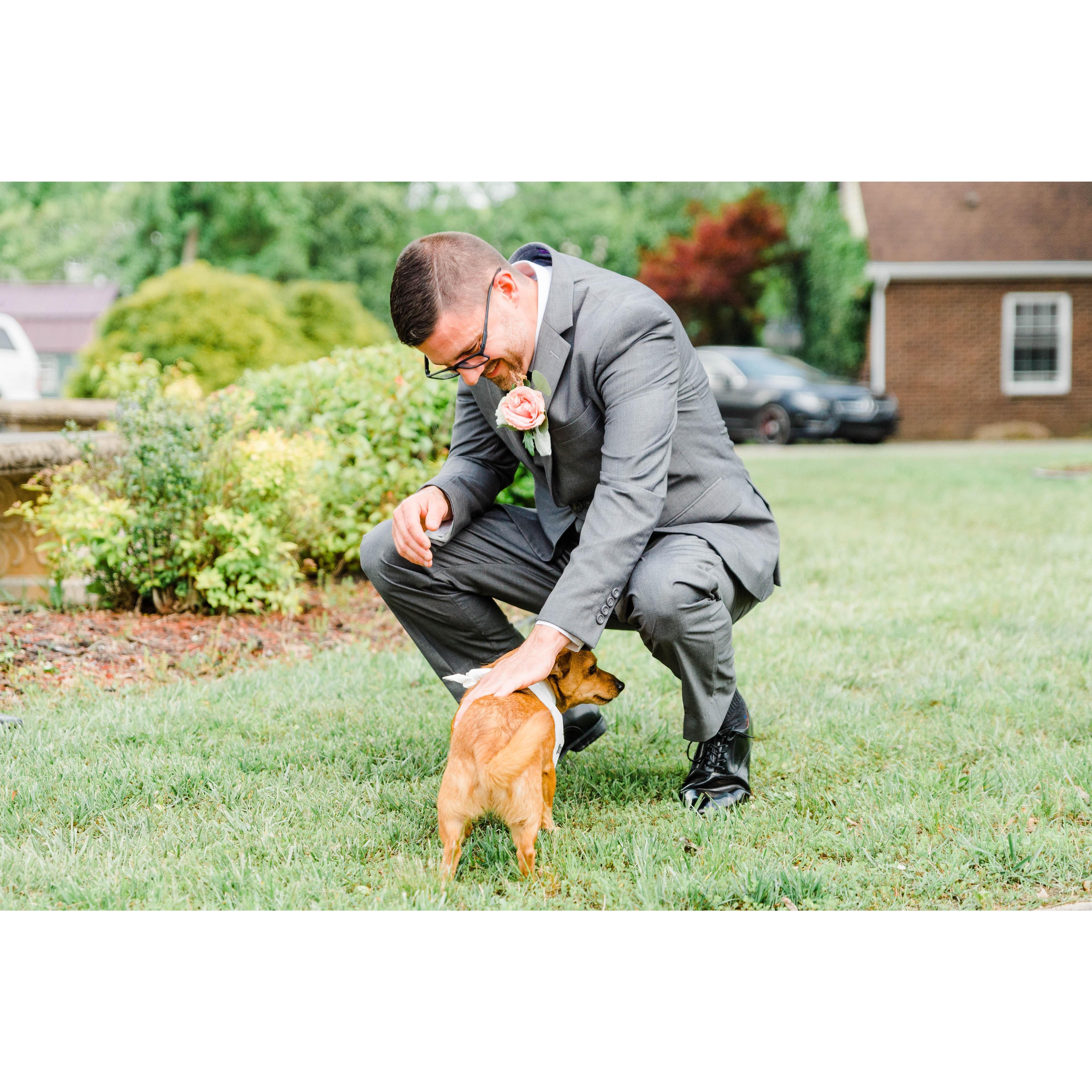 Bentli did so good walking towards his dad :) Until he peed on the bushes...