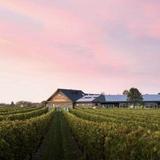 Newport Vineyards & Restaurant