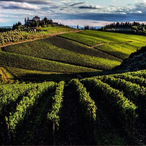 Vines of Tuscany - Full Day Origin and History Driving Tour for 2