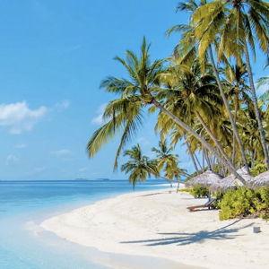 Honeymoon Fund