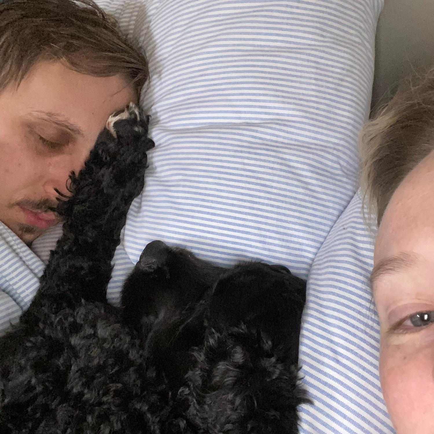 Our sweet Stanley boy caught pawing dad at a hotel in Boston, MA - 2021