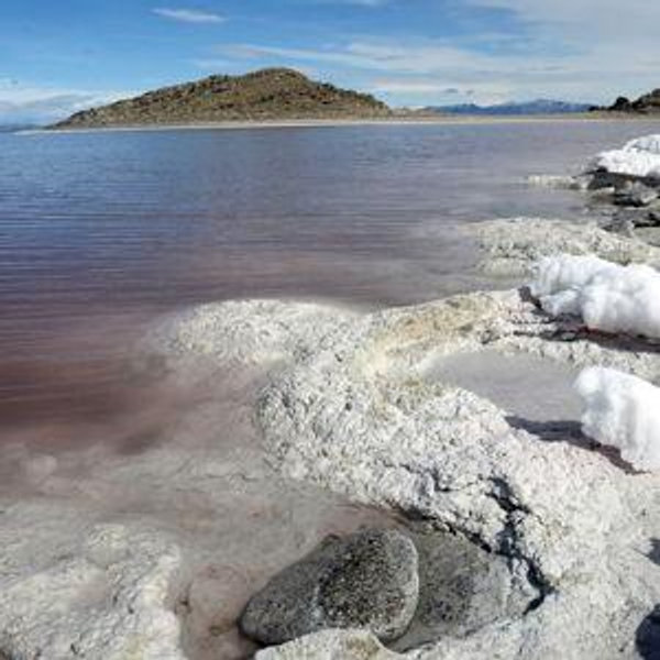 Donate to save our Great Salt Lake!