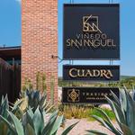 Vinedo San Miguel// San Miguel Vineyard