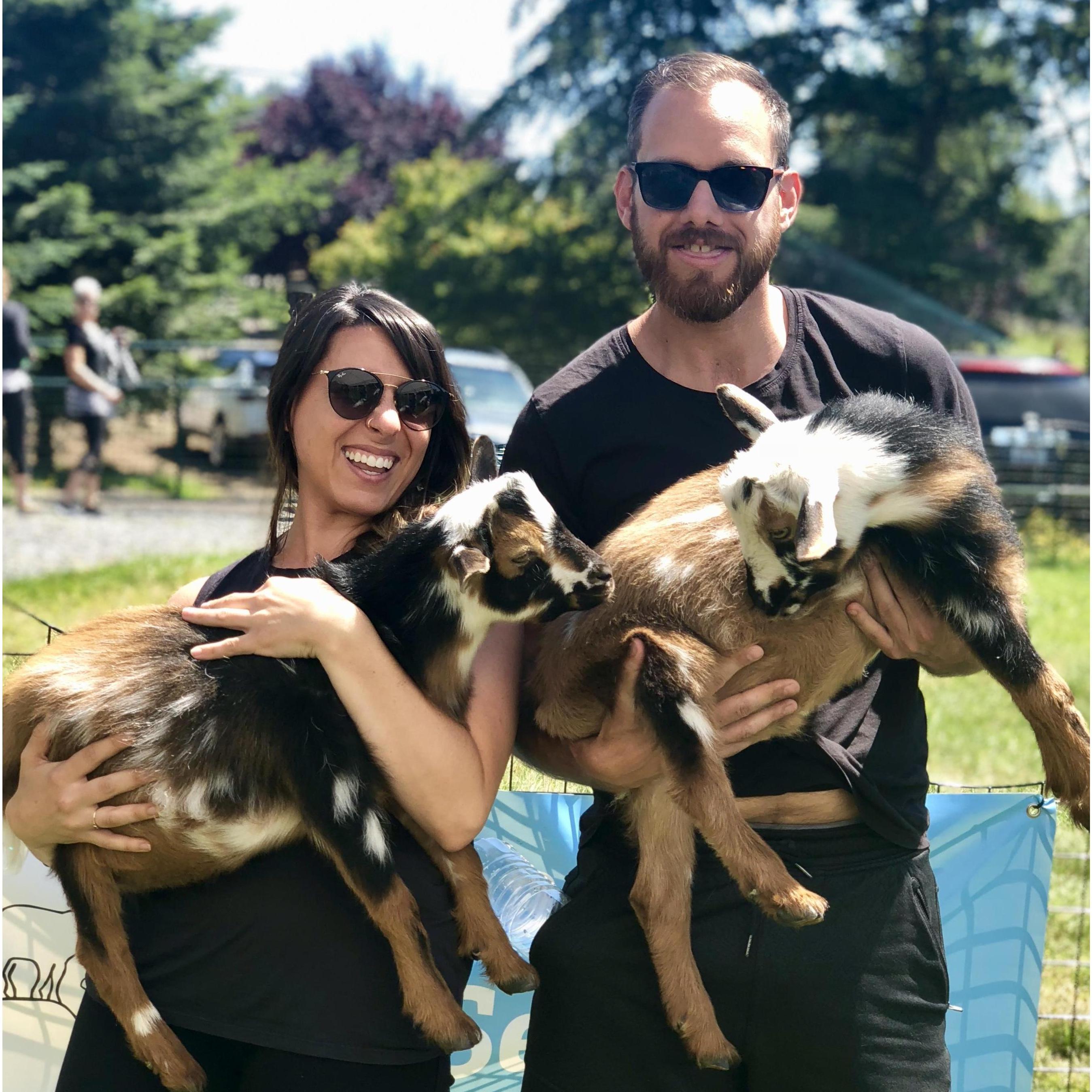 Goat yoga for Aaron's 37th 😱 Bday