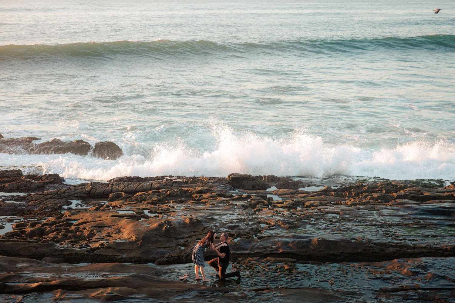 The Wedding Website of Courtney Roth and Thomas Massarany