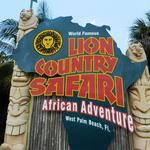 Lion Country Safari