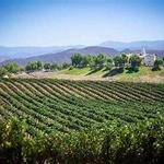 SoCal Wine Tours