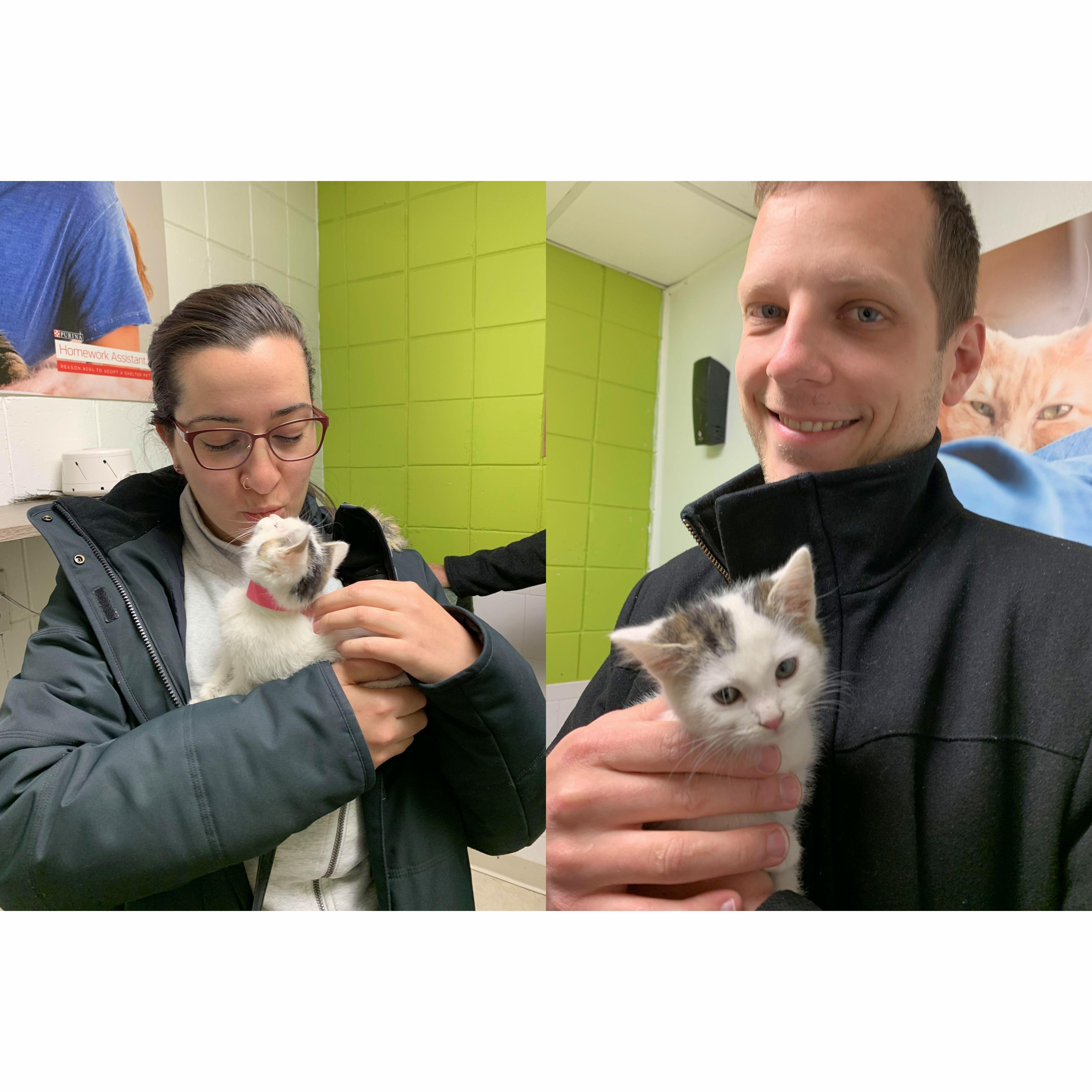 November 2019: We adopted our first fur baby, Lou Zora Mitz.