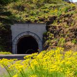 Bike the Mosier Twin Tunnels