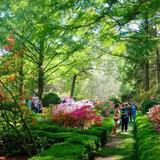 U.S. National Arboretum
