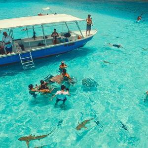 Moorea Lagoon Tour