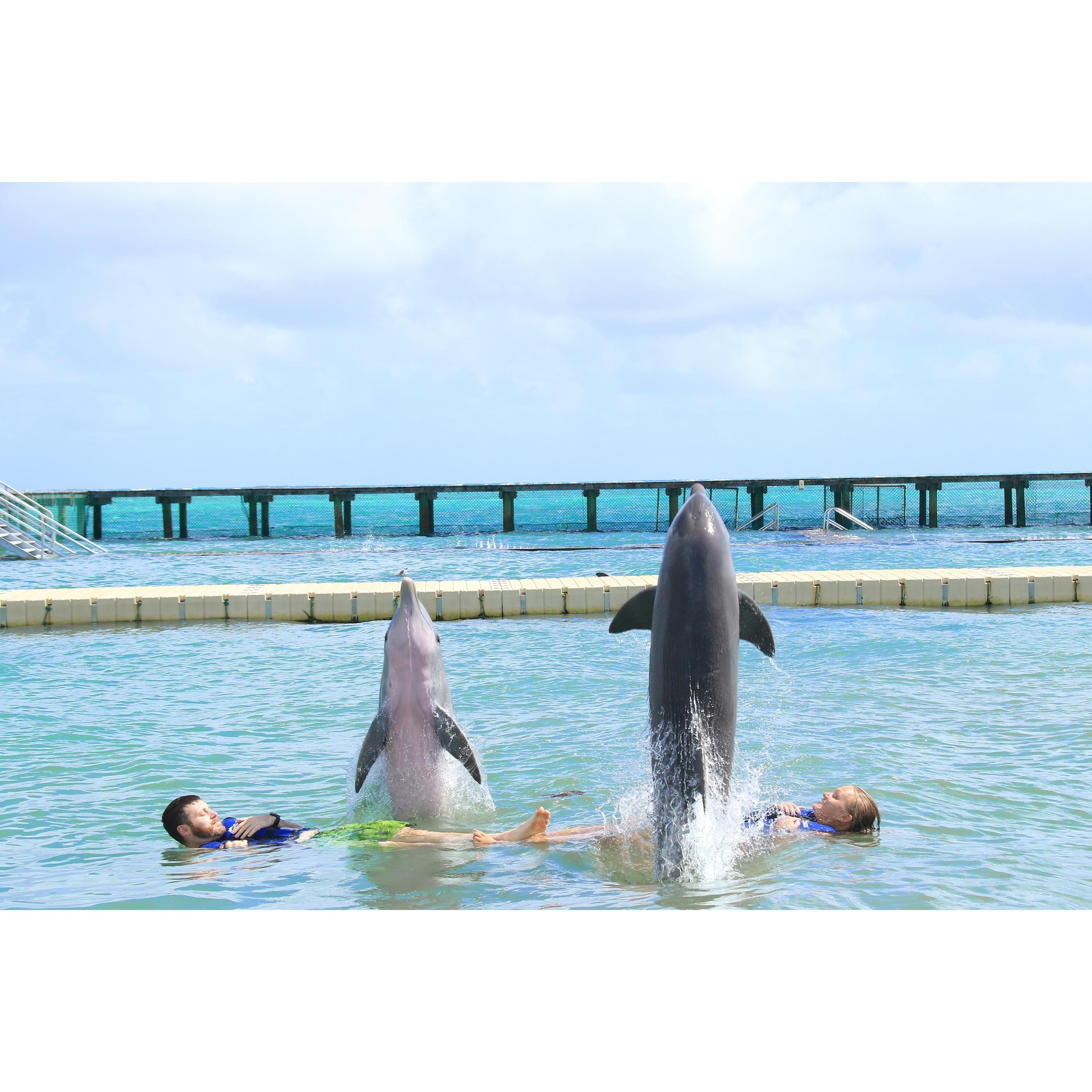 Swimming with dolphins!
