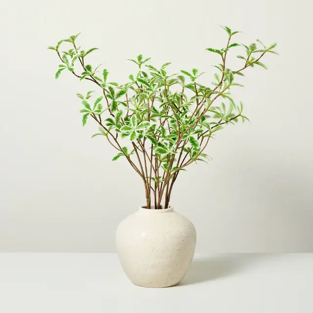 10"x17" Faux Variegated Terminalia Leaf Arrangement - Hearth & Hand™ with Magnolia