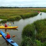 Southeast Adventure Outfitters Kayak Tours
