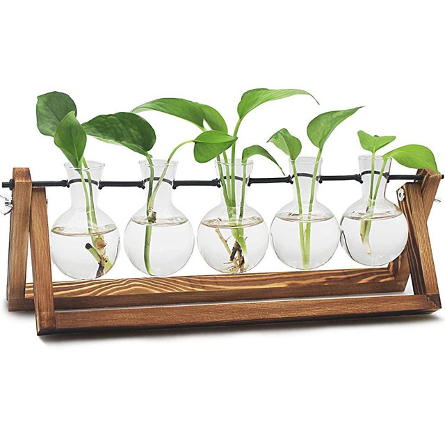 Plant Propagation Stations Terrarium with Wooden Stand, Desktop Air Planter Bulb Glass Vase,for Indoor Hydroponics Water Plants Home Garden Office Decoration Accessories ,Plant Holder Lover Gifts