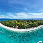 Turtle Sanctuary Snorkeling & Boat Tour with lunch