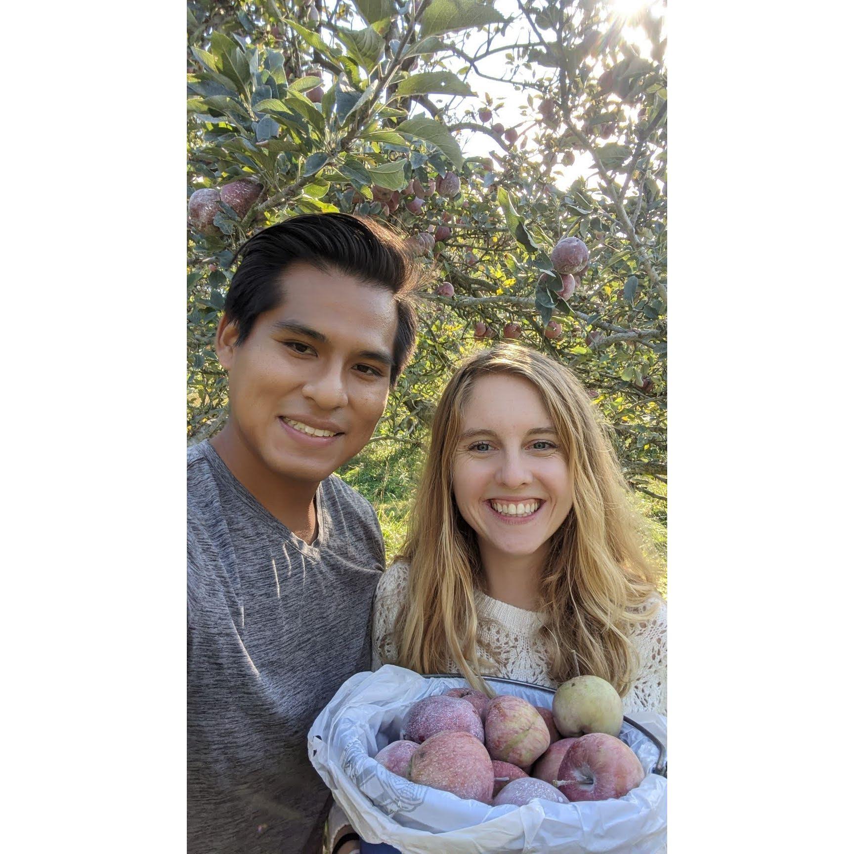 Apple Picking!