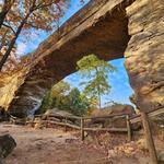 Natural Bridge State Resort Park
