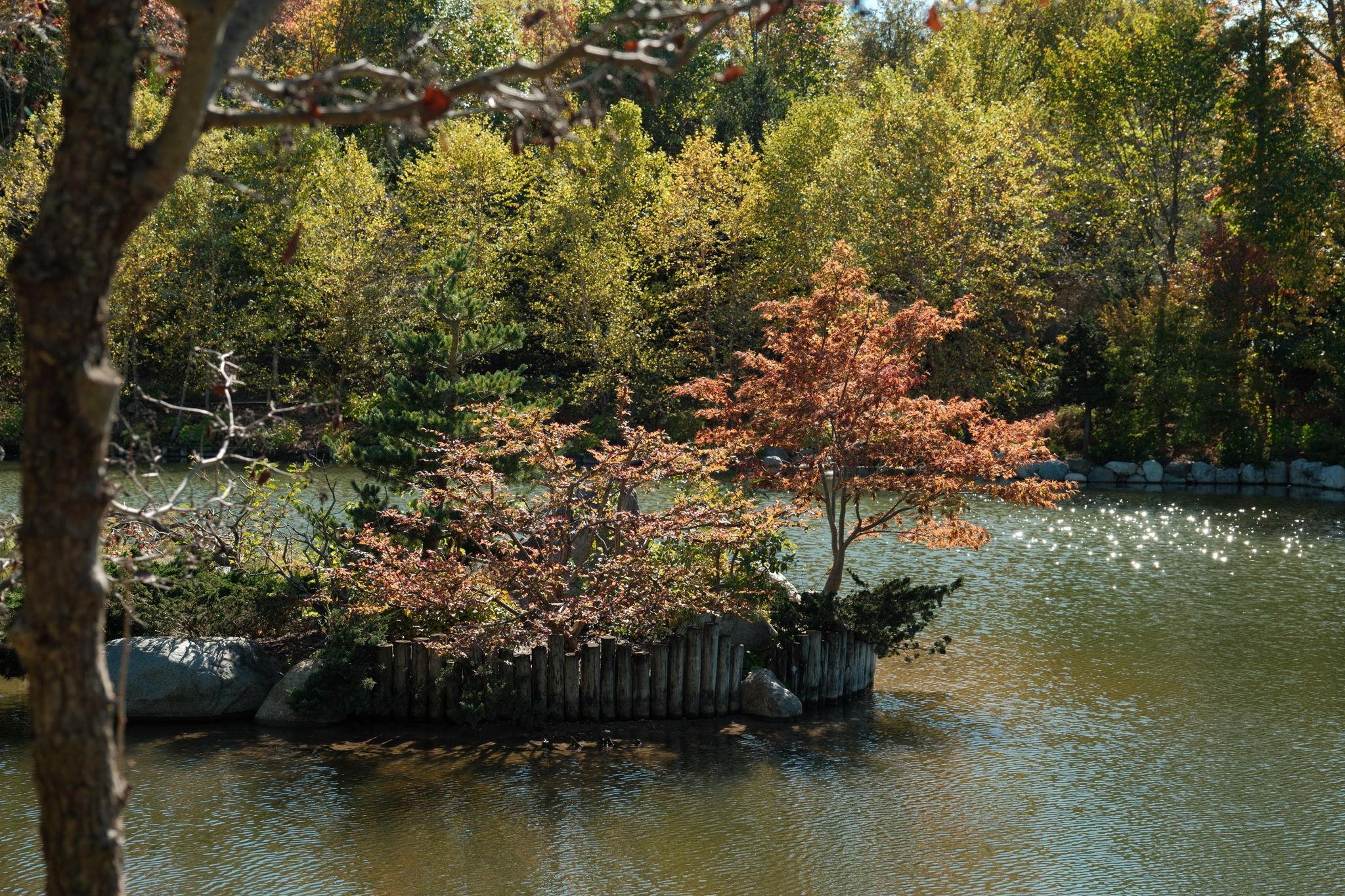 The Wedding Website of McKenna Pierson and David Chung