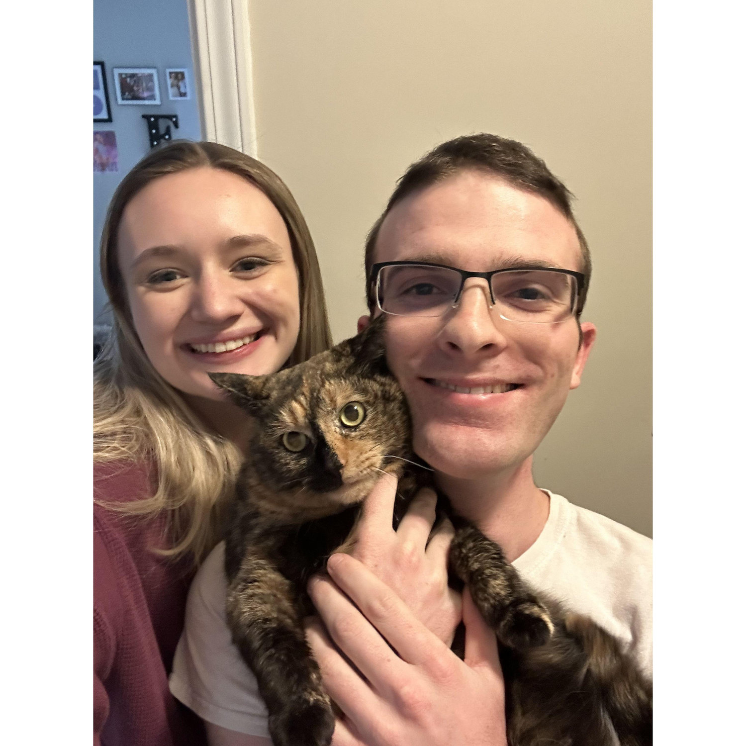 The first cat we adopted in Georgia; Peach!