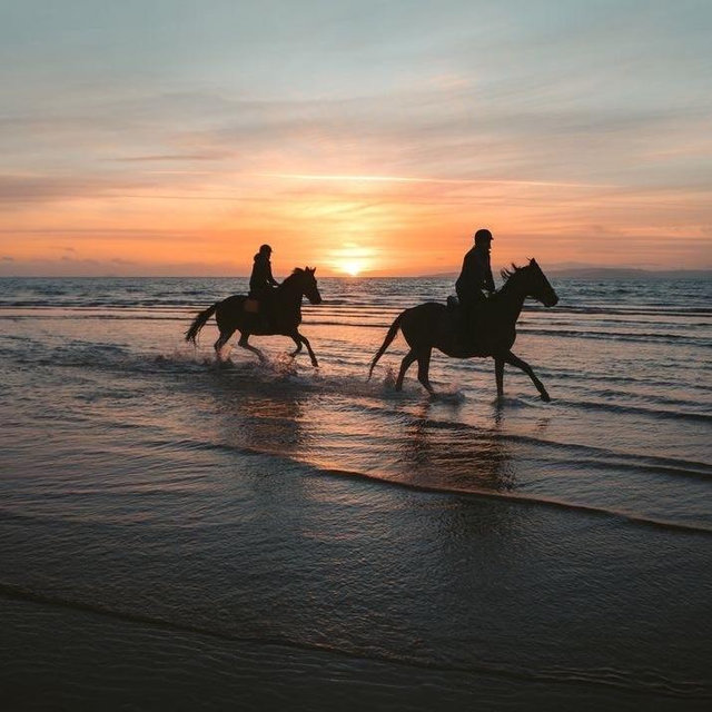 Horseback Riding On Our Honeymoon