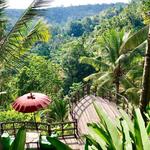 D Alas Warung Restaurant